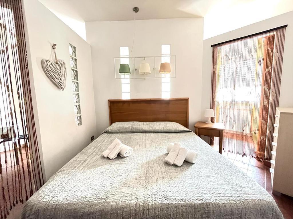 Imperiale Apartment Tirrenia Eksteriør bilde