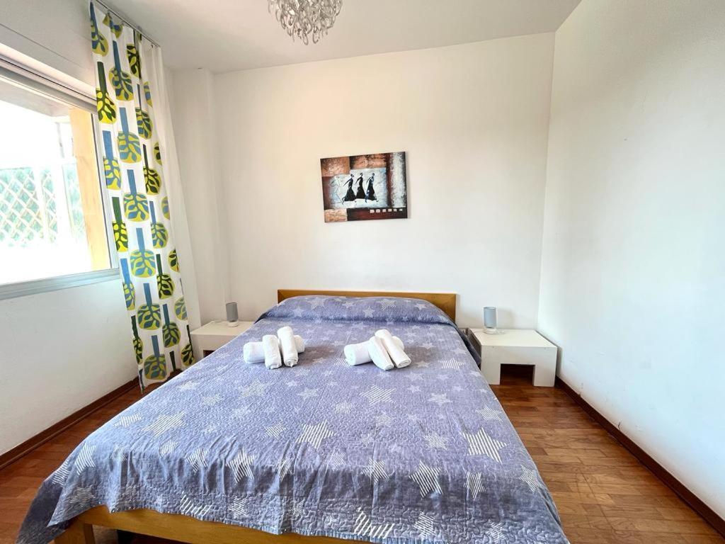Imperiale Apartment Tirrenia Eksteriør bilde